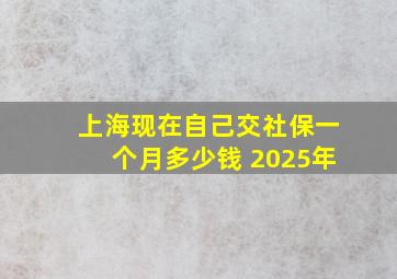 上海现在自己交社保一个月多少钱 2025年